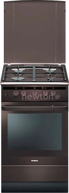 Кухонная плита Hansa FCGB51020