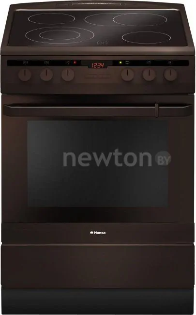 Кухонная плита Hansa FCCB68220