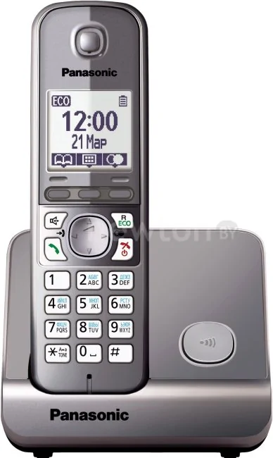 Радиотелефон Panasonic KX-TG6711RUM