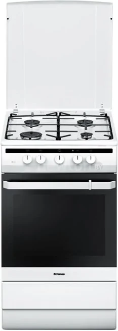 Кухонная плита Hansa FCGW51000
