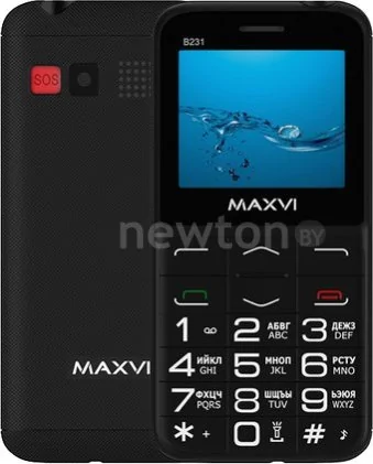 Кнопочный телефон Maxvi B231 (черный)