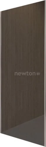 Душевая стенка RGW Z-03 06220308-31