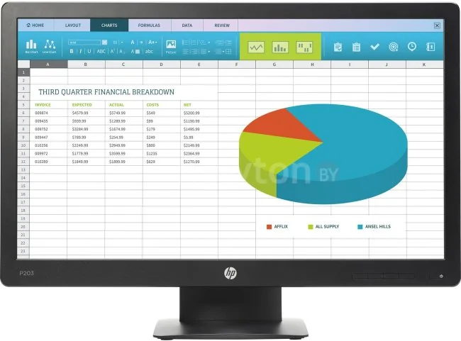 Монитор HP ProDisplay P203