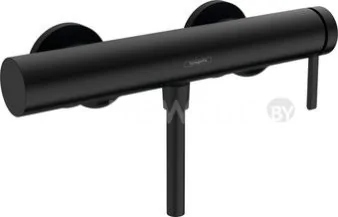 Смеситель Hansgrohe Hangrohe 76620670