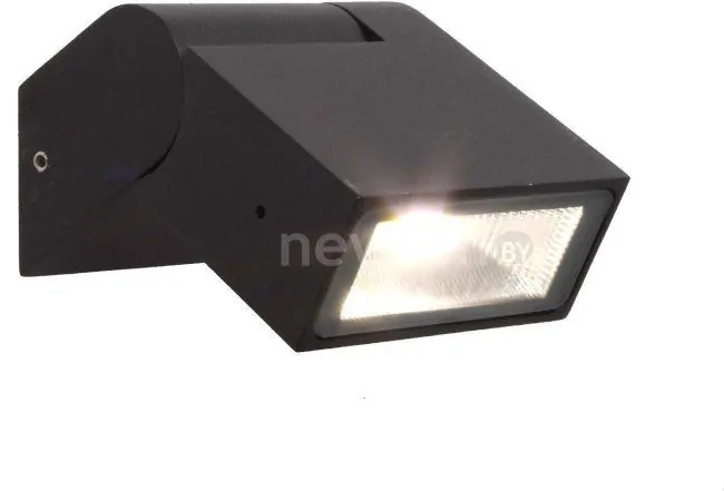 Уличный настенный светильник Favourite Visum 3024-1W