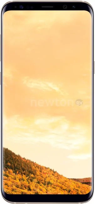 Телефон Samsung Galaxy S8+ 64GB (желтый топаз) [G955F]