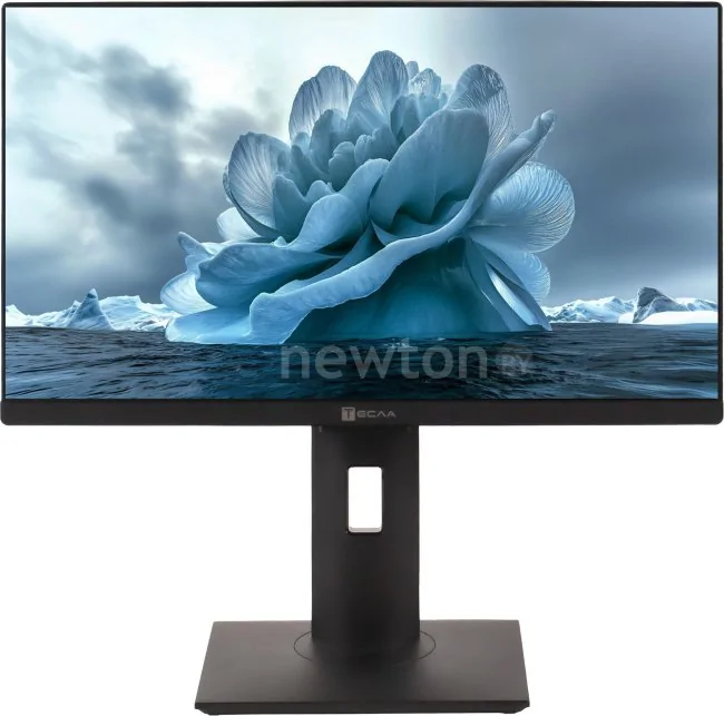 Моноблок ТЕСЛА P27BPQ 2116500