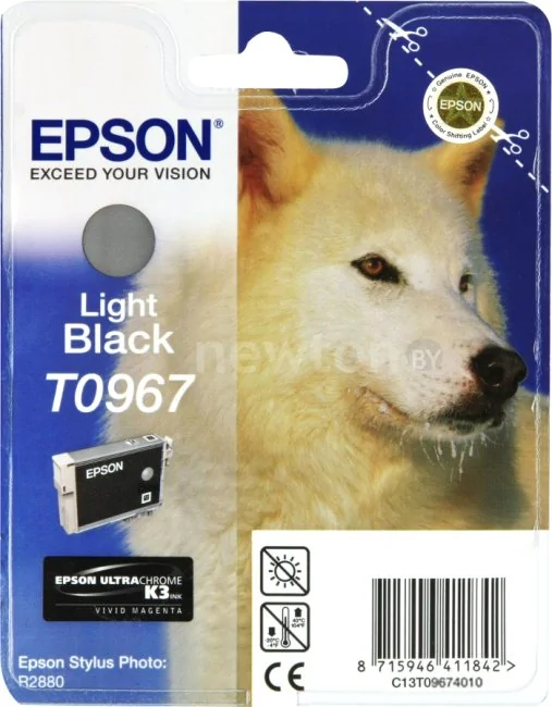Картридж Epson C13T09674010
