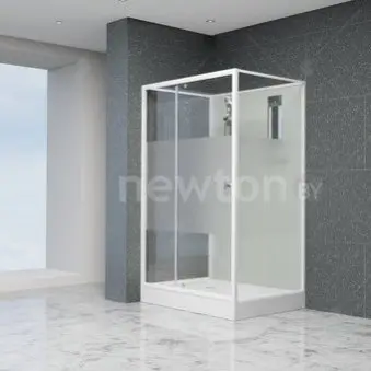Душевая кабина RGW AN-207 411320790-95 90x100 (белый/прозрачно-матовое стекло)