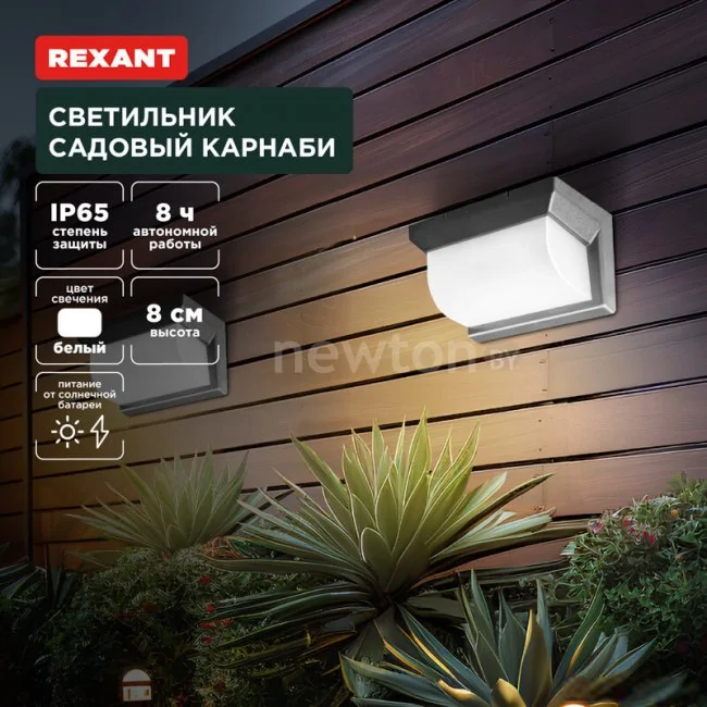 Уличный настенный светильник Rexant Карнаби 602-2415