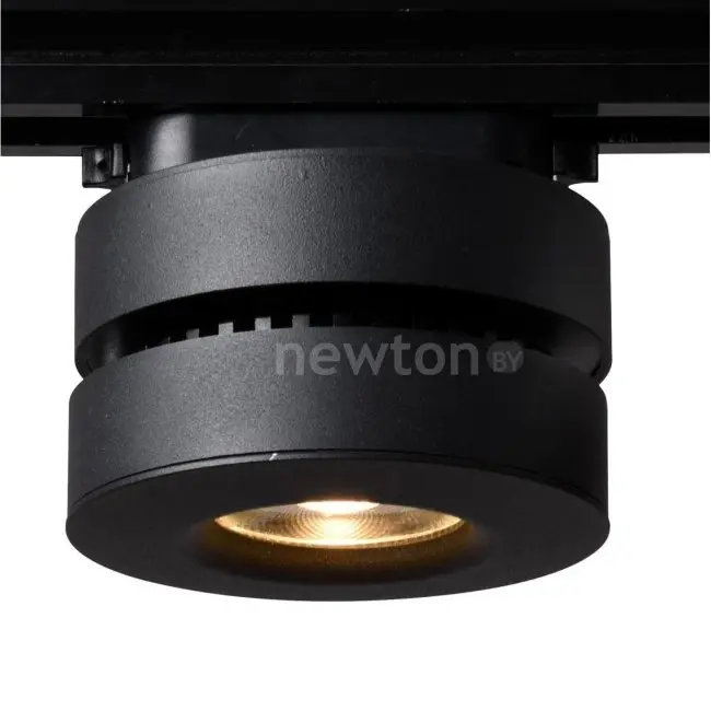 Трековый светильник Arte Lamp Vela A2508PL-1BK