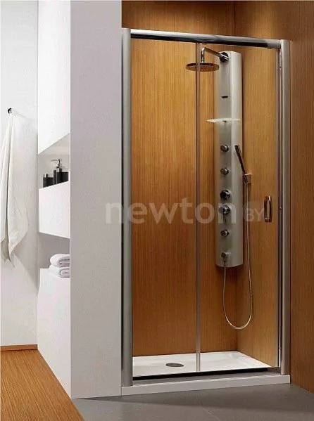 Душевая дверь Radaway Premium Plus DWJ 150 [33343-01-06N]