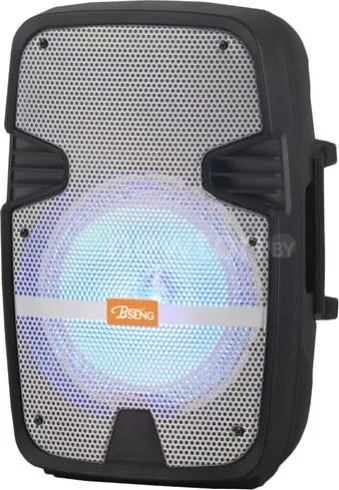 Беспроводная колонка Bseng MSA-801 (черный/серый)