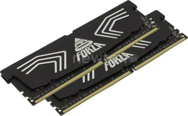 Оперативная память Neo Forza Faye 2x32GB DDR4 PC4-25600 NMUD432F82-3200DB21