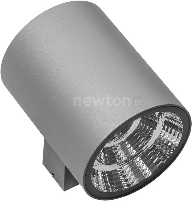 Фасадный светильник Lightstar Paro 371592