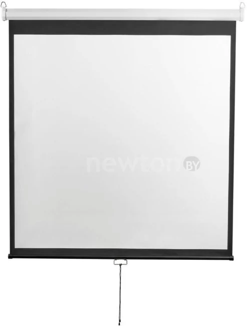 Проекционный экран Digis Optimal-D 308x310 DSOD-1108