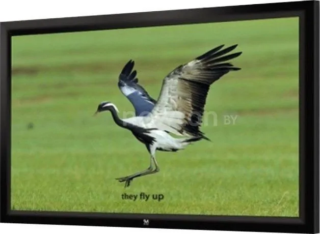 Проекционный экран Seemax Highland 16:9 234x132