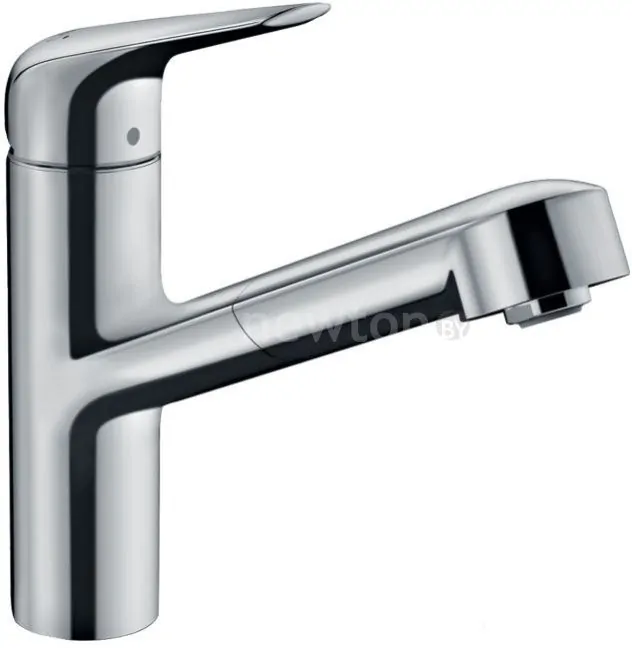 Смеситель Hansgrohe Focus M42 71829000