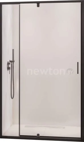 Душевая дверь RGW PA-008B 350800878-14