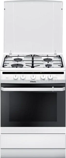 Кухонная плита Hansa FCGW62040