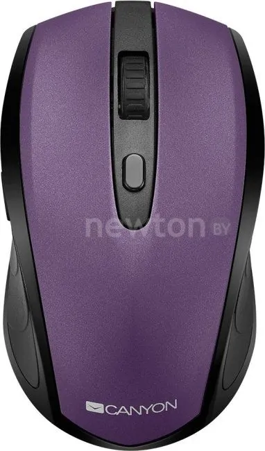 Мышь Canyon CNS-CMSW08V