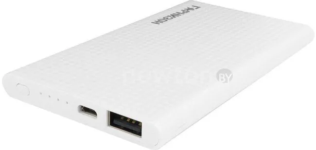 Портативное зарядное устройство Гарнизон GPB-105W