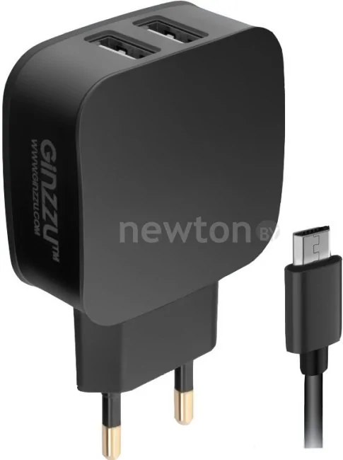 Зарядное устройство Ginzzu GA-3010UB (черный)