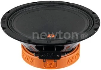 Среднечастотная АС DL Audio Raven 200 v2