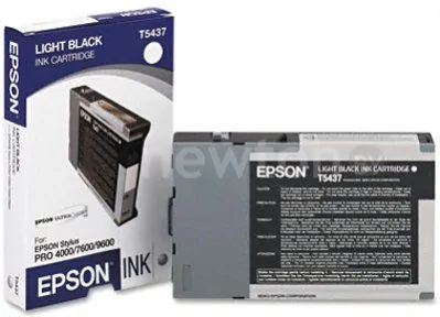 Картридж Epson C13T543700