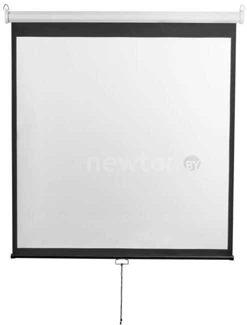 Проекционный экран Digis Optimal-D 248x189 DSOD-4304