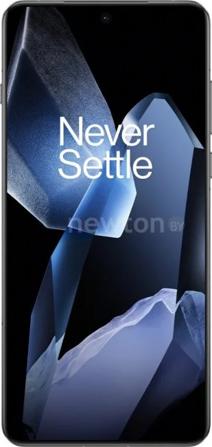 Телефон OnePlus 13 16GB/512GB китайская версия (обсидиан)