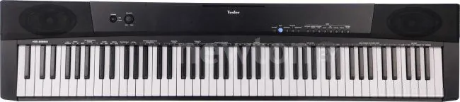 Цифровое пианино Tesler KB-8850 (черный)