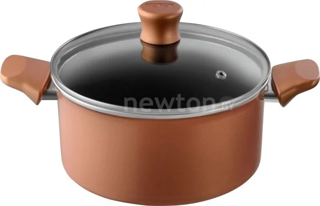 Кастрюля Tefal Performa 04190320