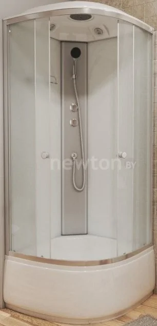 Душевая кабина Niagara Eco NG-7309-14 100х100