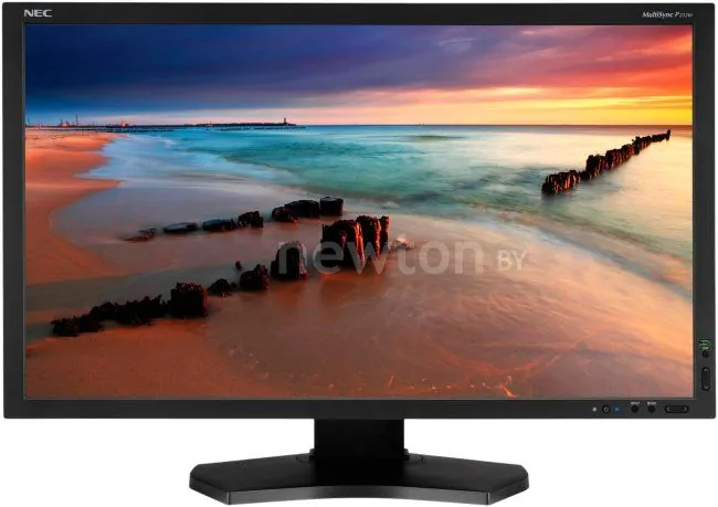 Монитор NEC MultiSync P232W Black/Black
