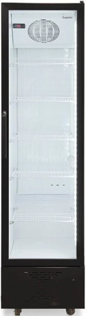 Торговый холодильник Бирюса B300D