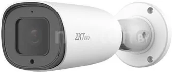 IP-камера ZKTeco BL-854N38A-E3