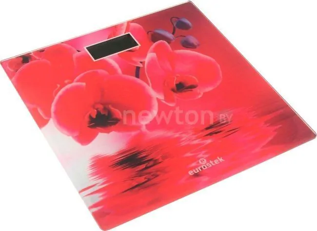 Напольные весы Eurostek EBS-2805