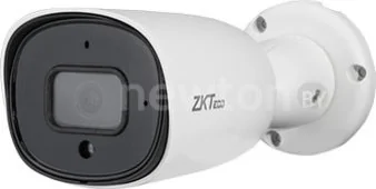 IP-камера ZKTeco BL-854N38S-S7