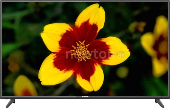 Телевизор Hartens HTV-43F01-T2C/A4/B