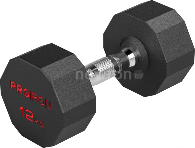 Гантель Proiron Г1120ОБР (12 кг)