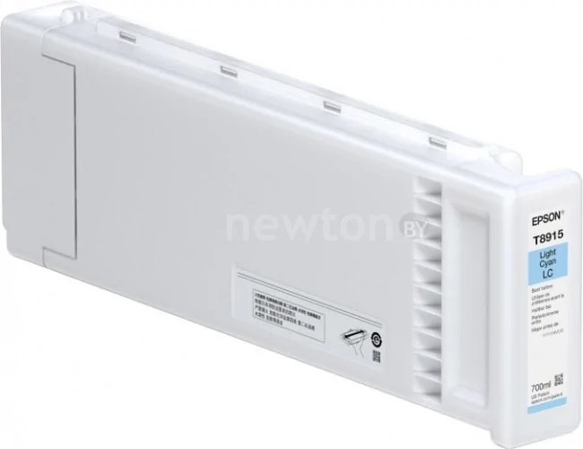 Картридж Epson C13T891500