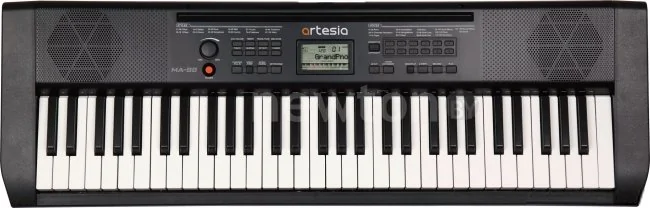 Синтезатор Artesia MA-88