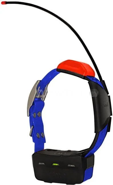 Портативный GPS-трекер Garmin Ошейник T5