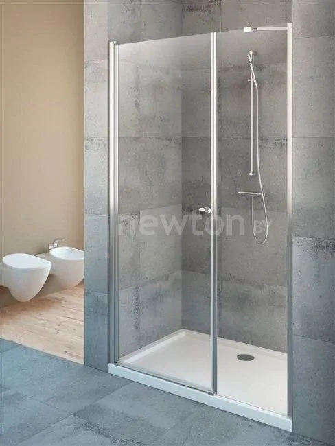Душевая дверь Radaway EOS DWS 140 L