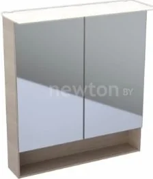 Keramag Шкаф с зеркалом Acanto 500.645.00.2