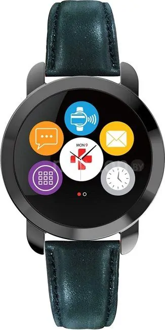 Фитнес-браслет MyKronoz ZeCircle 2 Premium (черный)