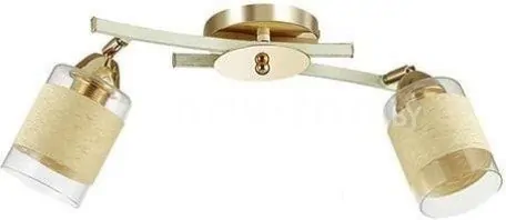 Припотолочная люстра Lumion Filla 3029/2CA