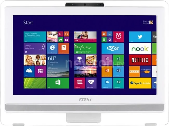 Моноблок MSI AE201-080RU