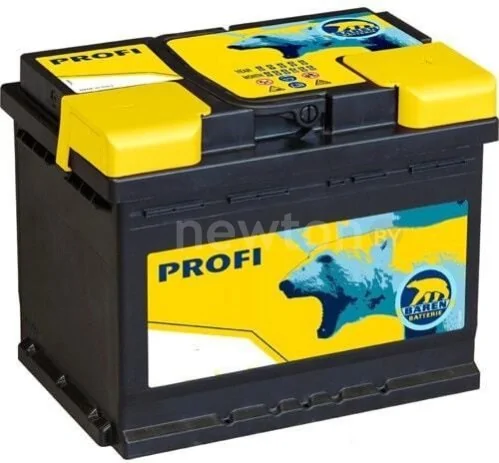 Автомобильный аккумулятор Baren Profi 7905684 (60 А·ч)